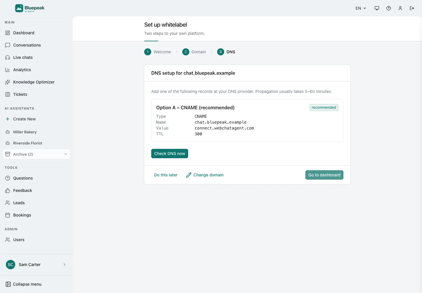 Интерфейс WebChatAgent, показывающий подключение собственного домена